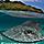 Moorea, French Polynesia Sting Ray